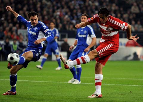 自我保护能 自我保护能